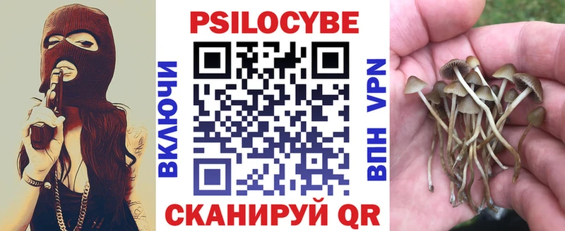 сколько стоит  Оханск  Галлюциногенные грибы Psilocybine cubensis 